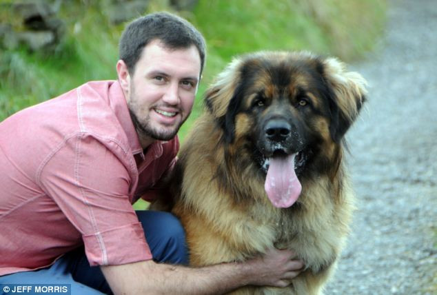 Simba có vẻ rất thân thiết với chủ