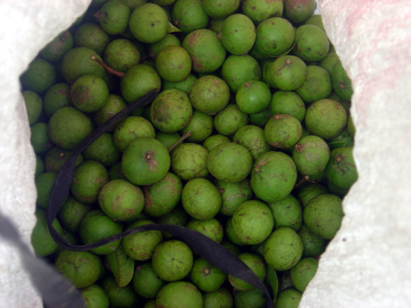 'Chiến lợi phẩm'