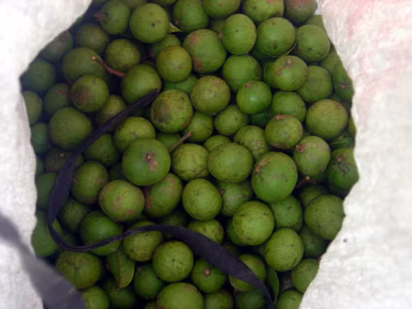 'Chiến lợi phẩm'