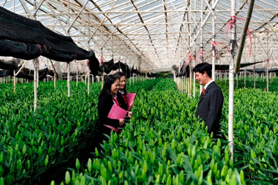 Agribank thúc đẩy tín dụng xanh cho phát triển bền vững ảnh 1