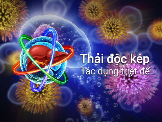 5 sự thật các “chuyên gia Detox” chưa nói cho bạn biết ảnh 3