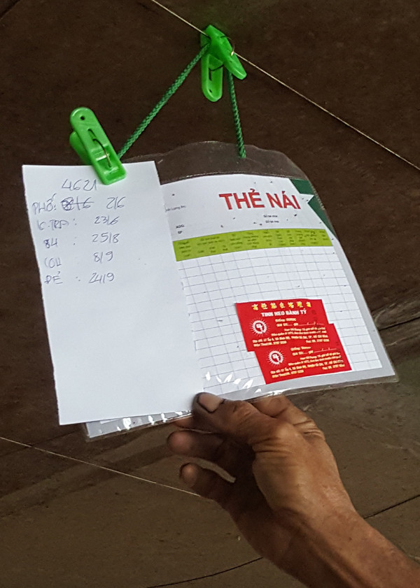 Hiệu quả từ mô hình chăn nuôi heo theo tiêu chuẩn GAP của dự án Lifsap ảnh 1