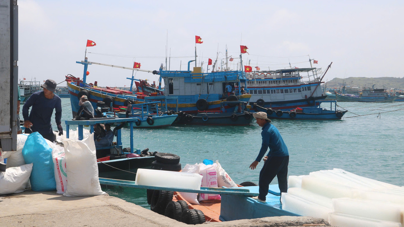 Bắt đầu từ tháng 4 và kéo dài đến tháng 9 hàng năm, vụ cá Nam được xem là thời điểm mang lại nguồn thu nhập chính cho hàng nghìn ngư dân tỉnh Lâm Đồng. Những ngày này, tranh thủ thời tiết thuận lợi, bà con tất bật chuẩn bị ngư lưới cụ, nhu yếu phẩm để kịp ra khơi.