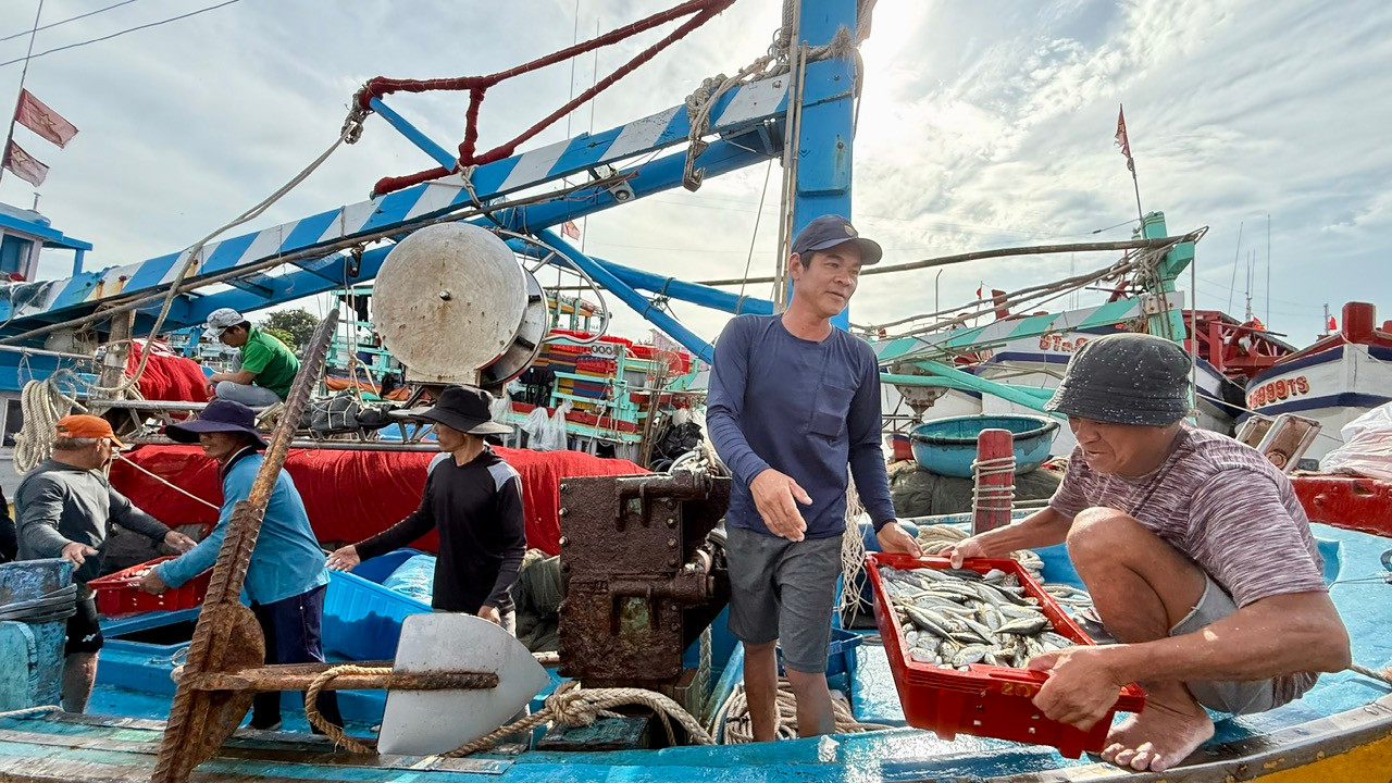 Cập bến sau gần 1 tháng trên biển, ngư dân Nguyễn Văn Đức cho biết chuyến này anh kiếm được hơn 100 triệu đồng.