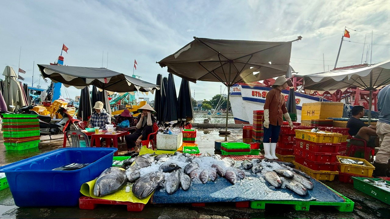 Thống kê của Sở Nông nghiệp và Môi trường Lâm Đồng, từ đầu tháng 3 đến nay, hoạt động khai thác thủy sản đạt hiệu quả tích cực. Sáu tháng đầu năm 2025, sản lượng khai thác toàn tỉnh ước đạt 121.300 tấn, tăng hơn 9% so với cùng kỳ năm ngoái.