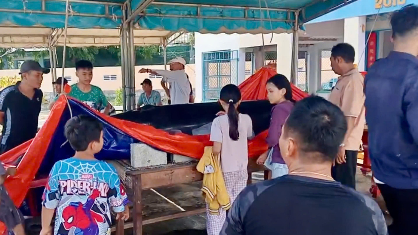 Xác cá voi được đưa về lăng để làm các thủ tục an táng theo nghi lễ truyền thống