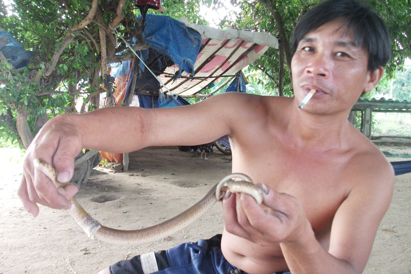 Săn rắn, nghề hấp dẫn ở núi Ông Xiêm. Săn rắn, nghề hấp dẫn ở núi Ông Xiêm