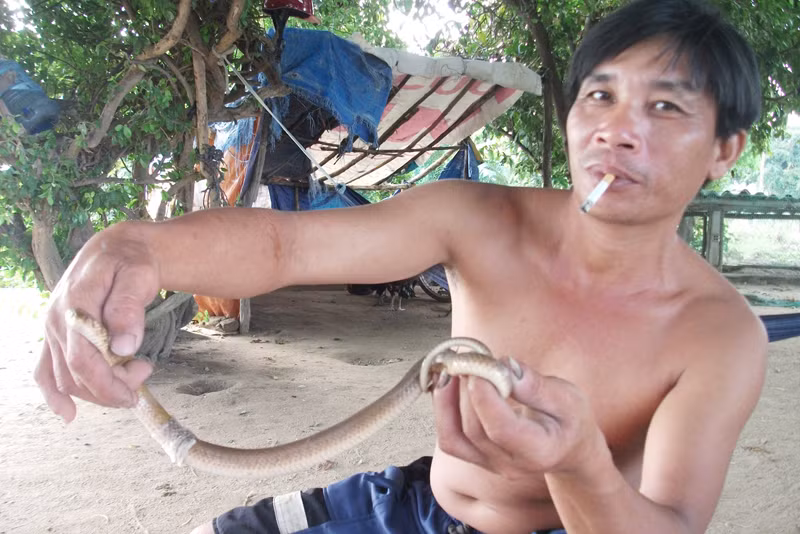 Săn rắn, nghề hấp dẫn ở núi Ông Xiêm. Săn rắn, nghề hấp dẫn ở núi Ông Xiêm