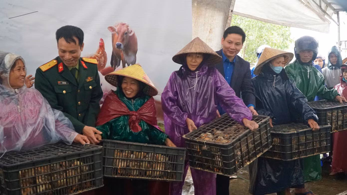 Tặng gà giống cho người dân tái thiết sau lũ lụt. Tặng gà giống cho người dân tái thiết sau lũ lụt.