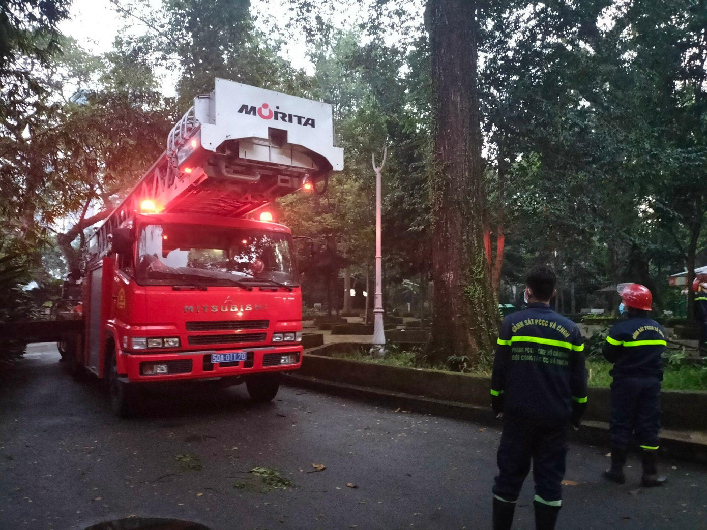 Lực lượng chức năng phải điều động xe thang để tiếp cận tổ ong vò vẽ.