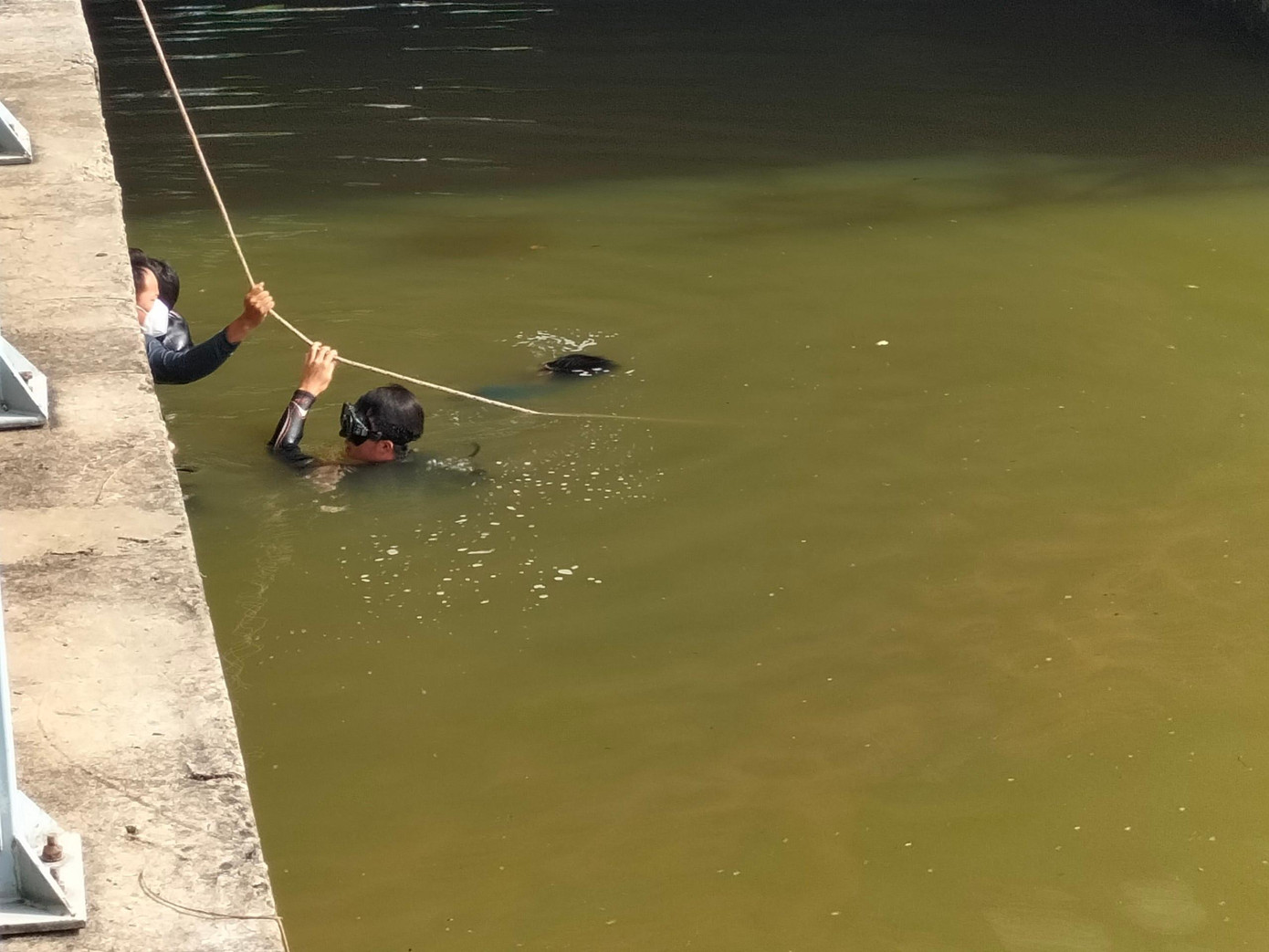 Người nhái lặn tìm nam thanh niên nhảy cầu Công Lý tự tử.