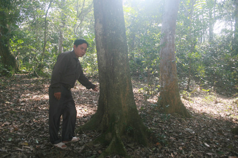 Theo anh Ngải Seo Dìn thì trước đây, trong rừng Cấm có cả tượng chó đá cổ. Theo anh Ngải Seo Dìn thì trước đây, trong rừng Cấm có cả tượng chó đá cổ