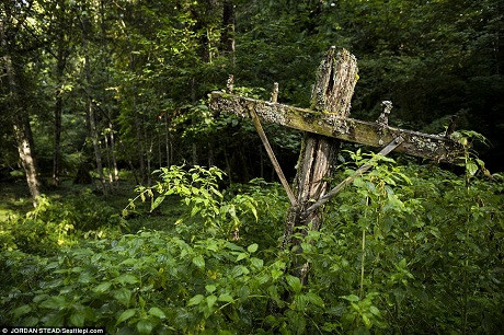 Một cột đường dây điện thoại ngả nghiêng. Cả thị trấn đã bị các loài cây dại bao phủ. Một cột đường dây điện thoại ngả nghiêng. Cả thị trấn đã bị các loài cây dại bao phủ