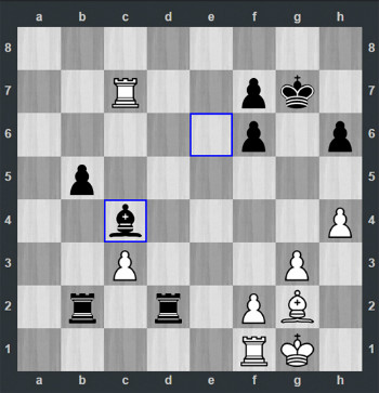 Quang Liêm lần đầu thắng cựu Vua cờ Garry Kasparov ảnh 1