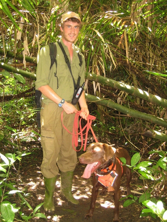 Simon Mahood thành viên dự án củaWWF với con chó Chevy đánh mùi đi tìm mẫu phân tê giác