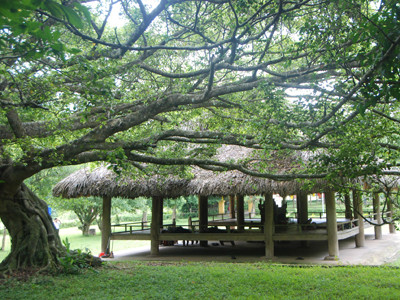 Đình Tân Trào. Ảnh: XB