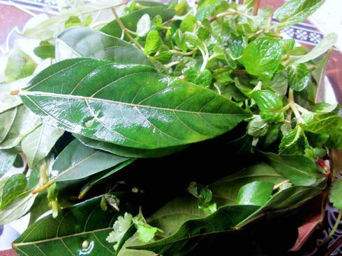 Ảnh minh họa Ảnh minh họa