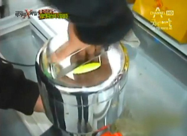 Hộp Inox đựng bào thai trẻ em. Hộp Inox đựng bào thai trẻ em