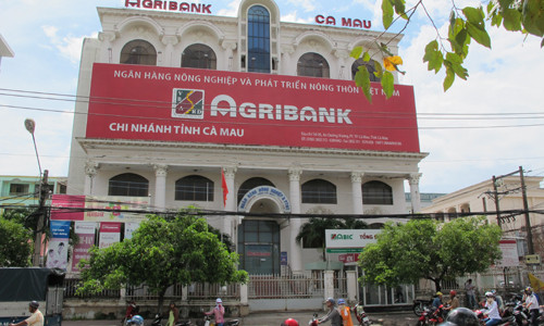 Chi nhánh Ngân hàng NN- PTNT Cà Mau dư luận cho là mục tiêu của vụ cướp