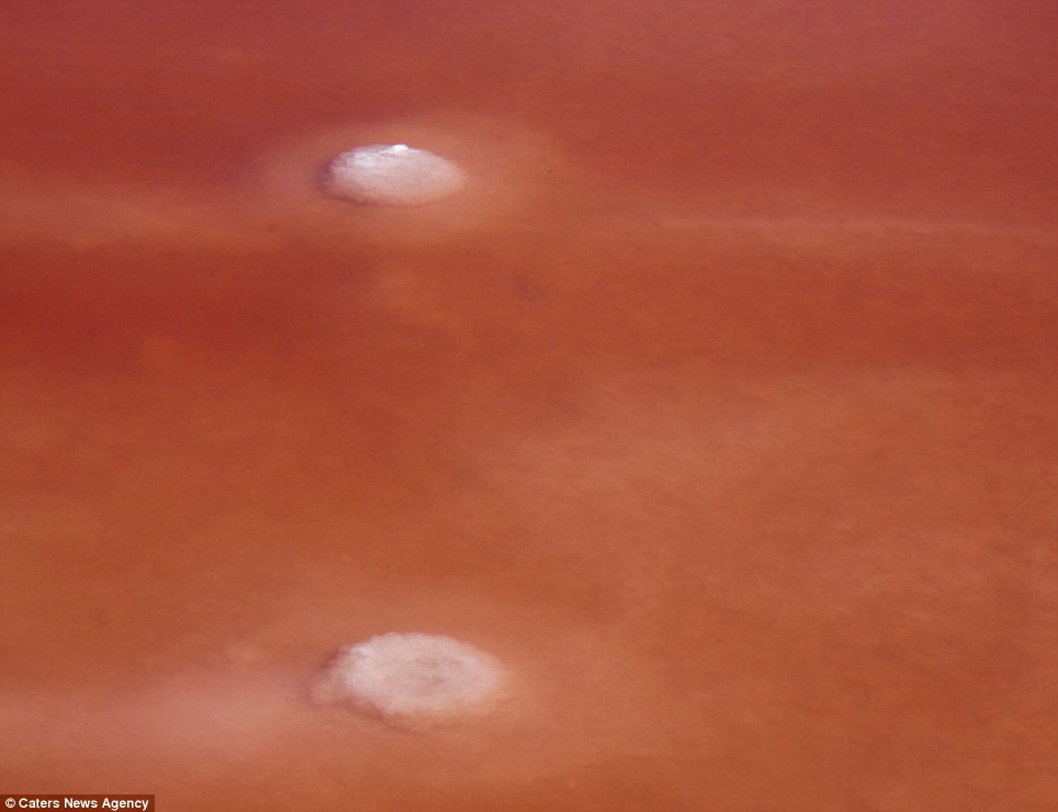 Những khối muối tự tạo ngay giữa dòng nước 