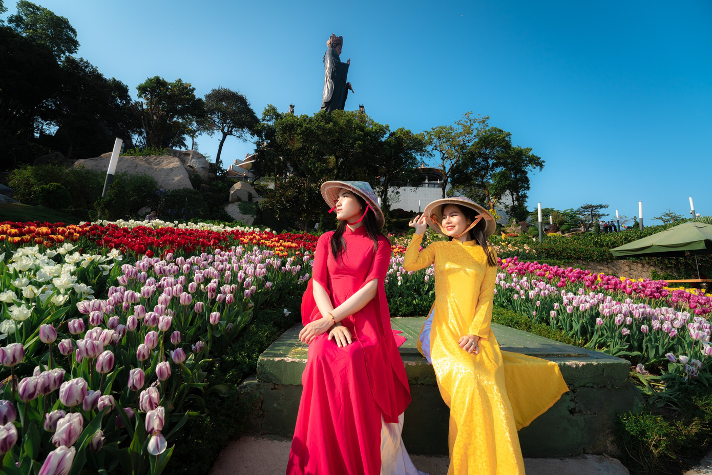 Trong chuỗi hoạt động Hội Xuân 2025, du khách sẽ được chiêm ngưỡng vườn hoa tulip với hơn 115.000 gốc hoa. Ảnh: Minh Tú