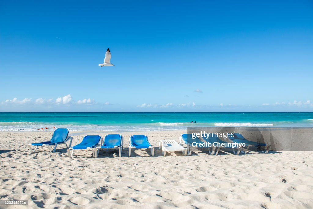 Hình ảnh làn nước màu ngọc bích siêu thực tại bãi biển Varadero (Varadero, Cuba) - nơi được TripAdvisor xếp thứ sáu trong bảng xếp hạng các bãi biển đẹp nhất thế giới năm 2025. Ảnh: Getty. Hình ảnh làn nước màu ngọc bích siêu thực tại bãi biển Varadero (Varadero, Cuba) - nơi được TripAdvisor xếp thứ sáu trong bảng xếp hạng các bãi biển đẹp nhất thế giới năm 2025. Ảnh: Getty.