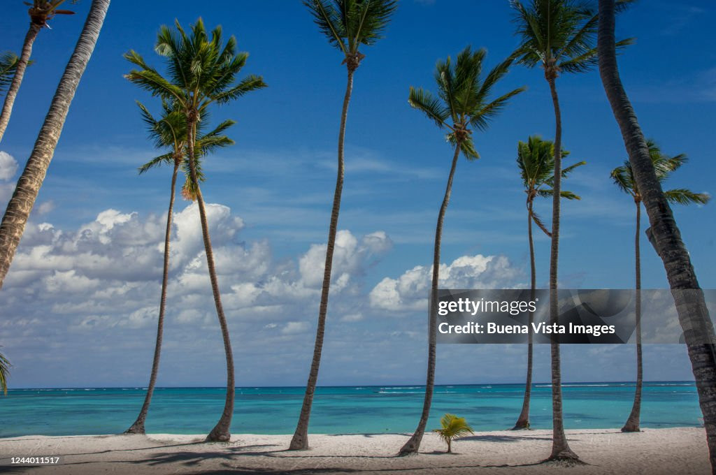 Xếp thứ bảy trong danh sách là bãi biển Bavaro (Bavaro, Cộng hòa Dominica). Nơi này là điểm đến yêu thích của du khách vì bãi biển đầy cát cùng làn nước ấm trong vắt, những hàng cọ xanh mát thơ mộng và các rạn san hô tự nhiên ấn tượng. Ảnh: Getty. Xếp thứ bảy trong danh sách là bãi biển Bavaro (Bavaro, Cộng hòa Dominica). Nơi này là điểm đến yêu thích của du khách vì bãi biển đầy cát cùng làn nước ấm trong vắt, những hàng cọ xanh mát thơ mộng và các rạn san hô tự nhiên ấn tượng. Ảnh: Getty.