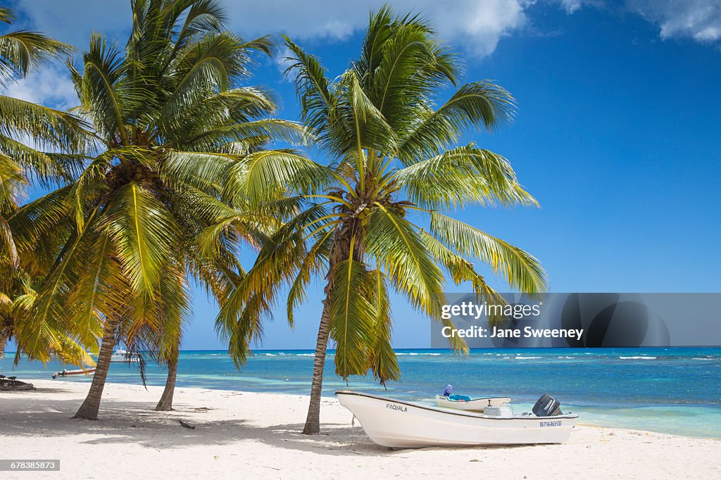 Xếp thứ bảy trong danh sách là bãi biển Bavaro (Bavaro, Cộng hòa Dominica). Nơi này là điểm đến yêu thích của du khách vì bãi biển đầy cát cùng làn nước ấm trong vắt, những hàng cọ xanh mát thơ mộng và các rạn san hô tự nhiên ấn tượng. Ảnh: Getty. Xếp thứ bảy trong danh sách là bãi biển Bavaro (Bavaro, Cộng hòa Dominica). Nơi này là điểm đến yêu thích của du khách vì bãi biển đầy cát cùng làn nước ấm trong vắt, những hàng cọ xanh mát thơ mộng và các rạn san hô tự nhiên ấn tượng. Ảnh: Getty.
