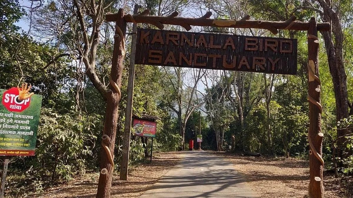 Khu bảo tồn chim Karnala nổi tiếng tại Mumbai ở Ấn Độ - nơi 10 du khách thương vong vì bị ong đốt. Ảnh: TripAdvisor. Khu bảo tồn chim Karnala nổi tiếng tại Mumbai ở Ấn Độ - nơi 10 du khách thương vong vì bị ong đốt. Ảnh: TripAdvisor.