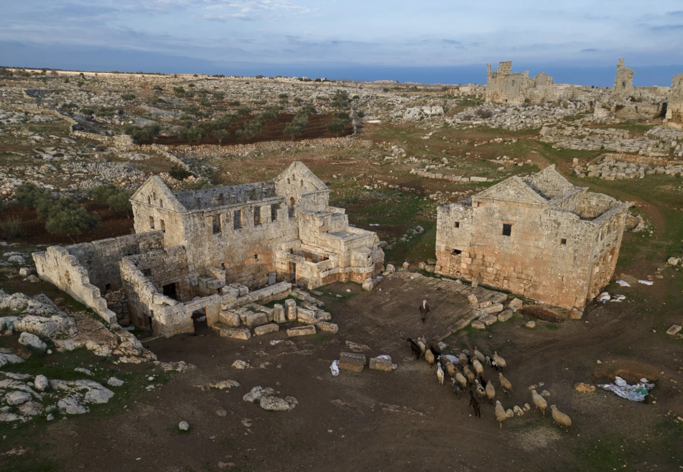 Thành phố Chết - di sản UNESCO tại Syria - thành nơi chăn thả cừu của người dân. Ảnh: AP. Thành phố Chết - di sản UNESCO tại Syria - thành nơi chăn thả cừu của người dân. Ảnh: AP.