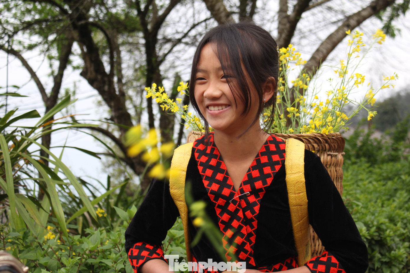 Người dân Sin Suối Hồ cho biết, hiện tại ngoài hoa mận, hoa đào, hoa cải thì hoa lê cũng đã bung nở - do đó đây là thời điểm du xuân phù hợp nhất với du khách khi muốn đến nơi này nói riêng và vùng Tây Bắc nói chung sau kỳ nghỉ Tết Nguyên đán 2025.