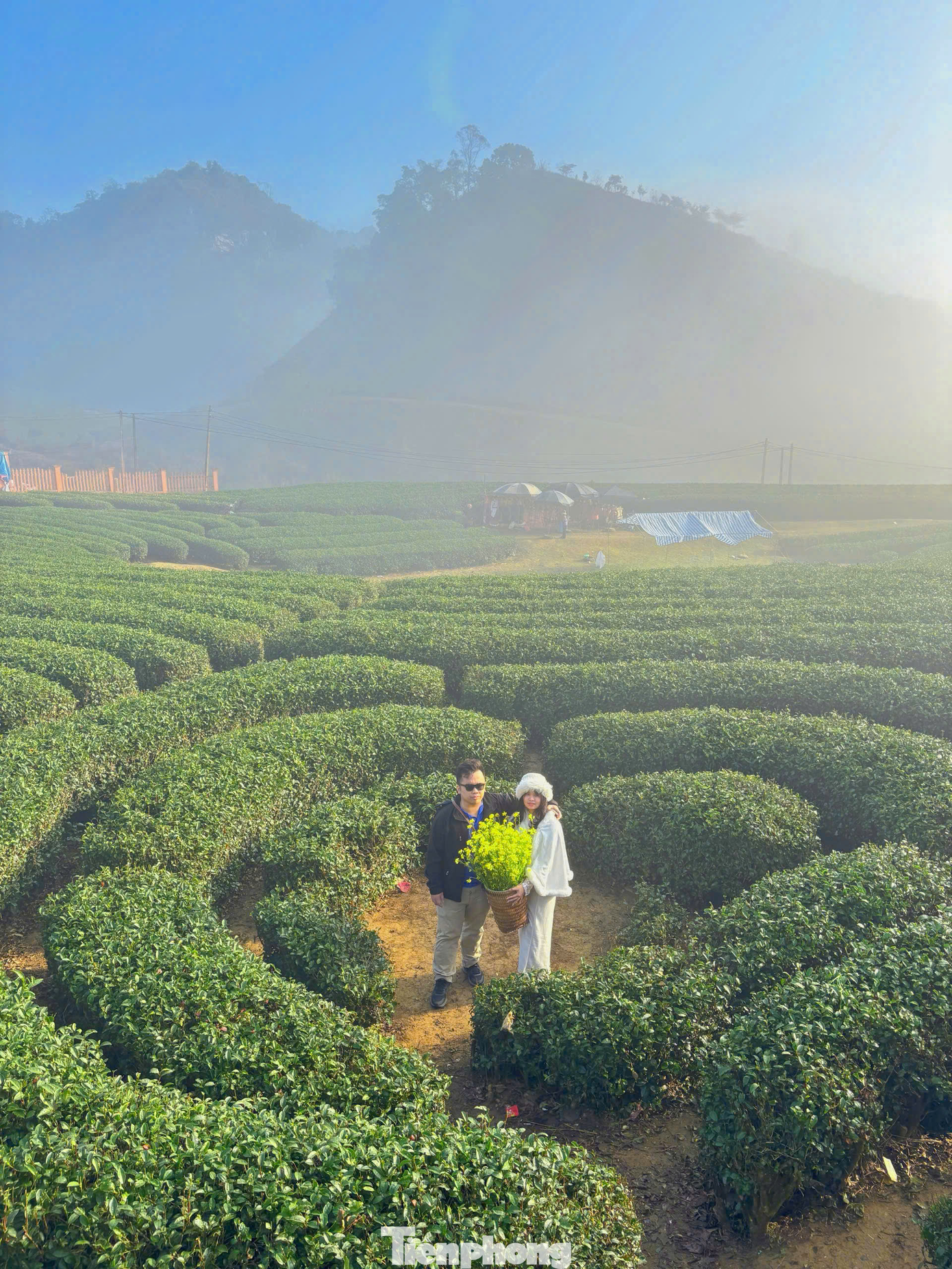 Đến du xuân tại Mộc Châu, du khách còn có thể trải nghiệm cầu kính, khám phá văn hóa cộng đồng tại Khu du lịch quốc gia Mộc Châu - nơi hai năm liên tục (2022 - 2023) được Tổ chức giải thưởng du lịch thế giới (World Travel Awards) bình chọn là "Điểm đến thiên nhiên khu vực hàng đầu thế giới".