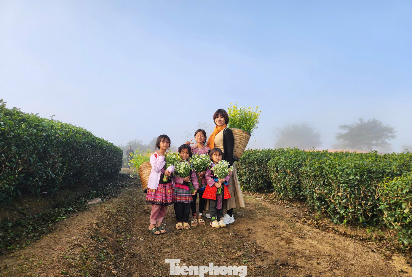 "Mùa xuân ở Mộc Châu giống như một bức tranh vẽ vậy, thực sự khiến tôi rất ấn tượng. Đồng thời, không khí nơi đây cũng vô cùng dễ chịu giúp chúng tôi có được những giây phút thảnh thơi, thư giãn để khởi đầu cho một năm mới", chị Nguyễn Thanh Hà (Hà Nội) bày tỏ với PV Tiền Phong.