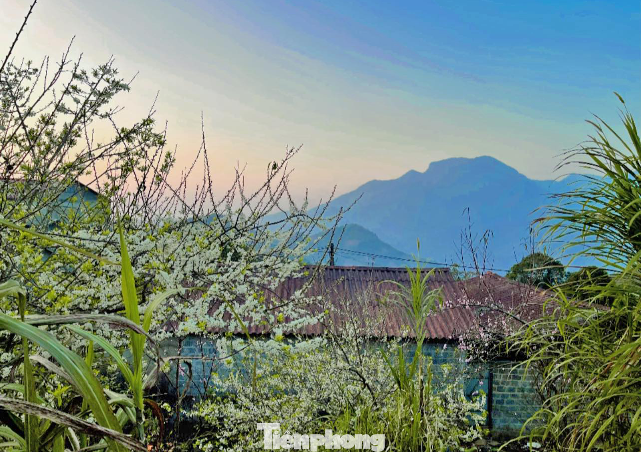 Sin Suối Hồ ẩn mình trên lưng chừng núi Sơn Bạc Mây, cao hơn 1500m so với mực nước biển, cách thành phố Lai Châu khoảng 30km, từng được vinh danh là điểm du lịch cộng đồng hấp dẫn bậc nhất Đông Nam Á. Bởi lẽ không khí nơi đây luôn mát mẻ quanh năm, phù hợp cho việc nghỉ dưỡng.