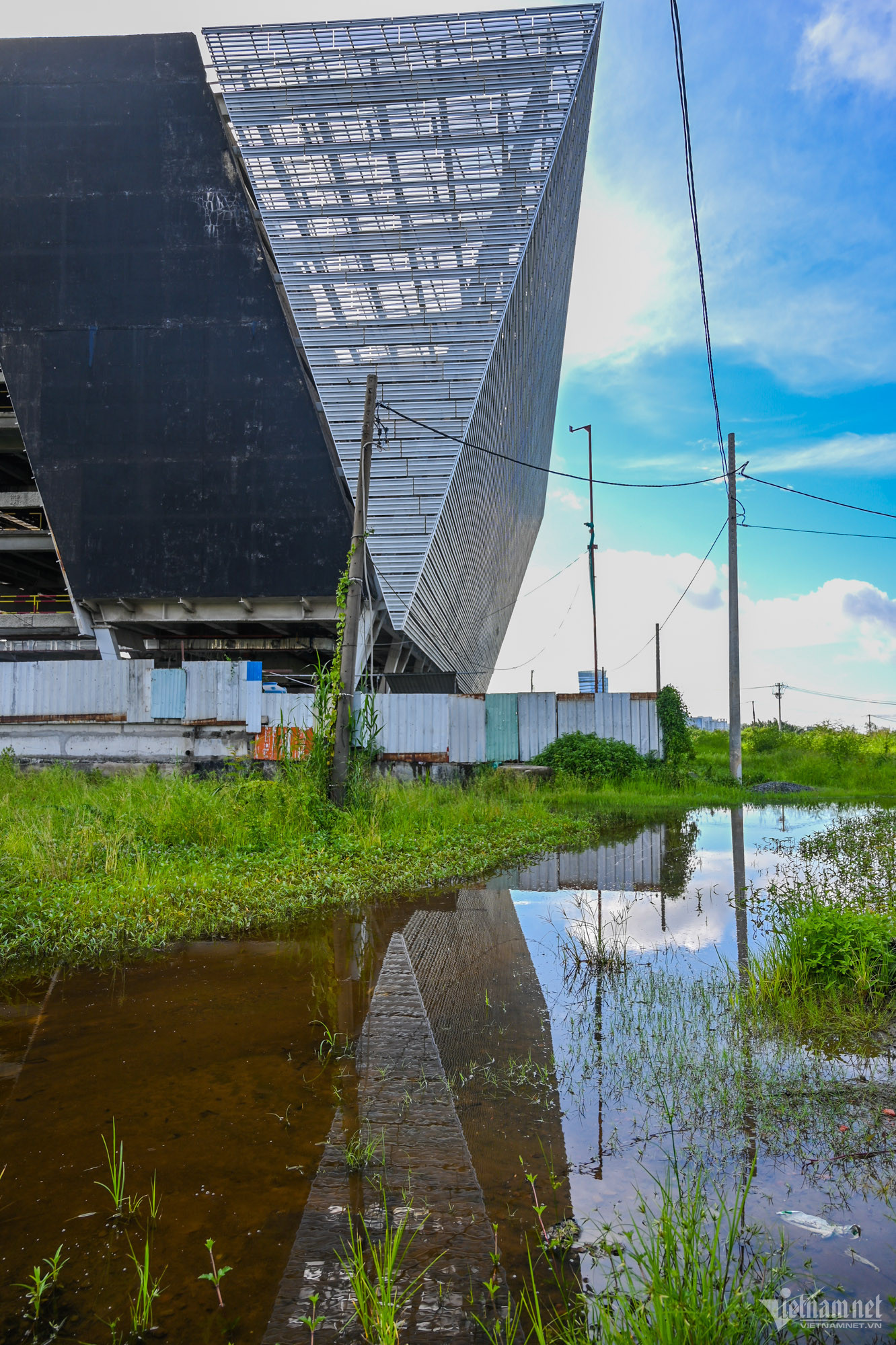 Bên ngoài dự án, cây cỏ mọc um tùm, nước đọng.