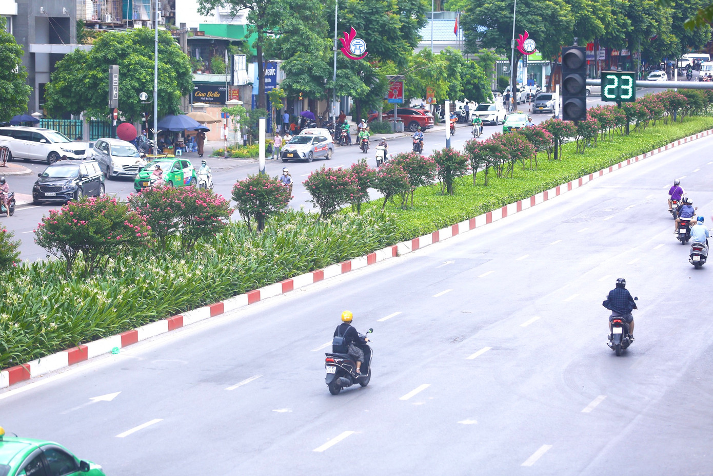Đây là nơi từng được trồng hàng phong lá đỏ, tuy nhiên lại không được như kỳ vọng.