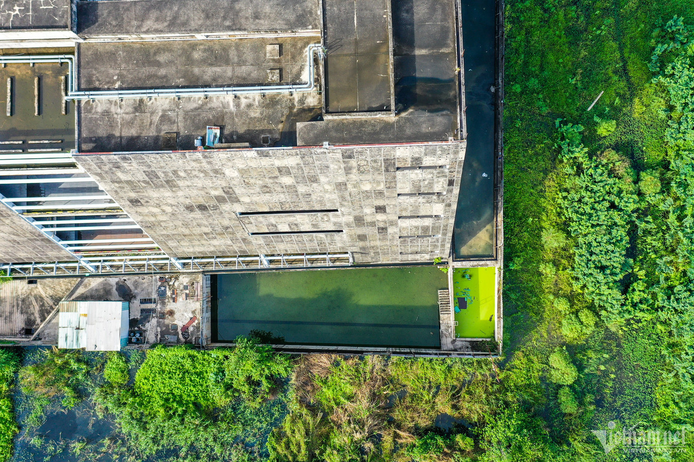 Khu tầng hầm ngập đầy nước, ứ đọng rác, nhất là các tháng mùa mưa.