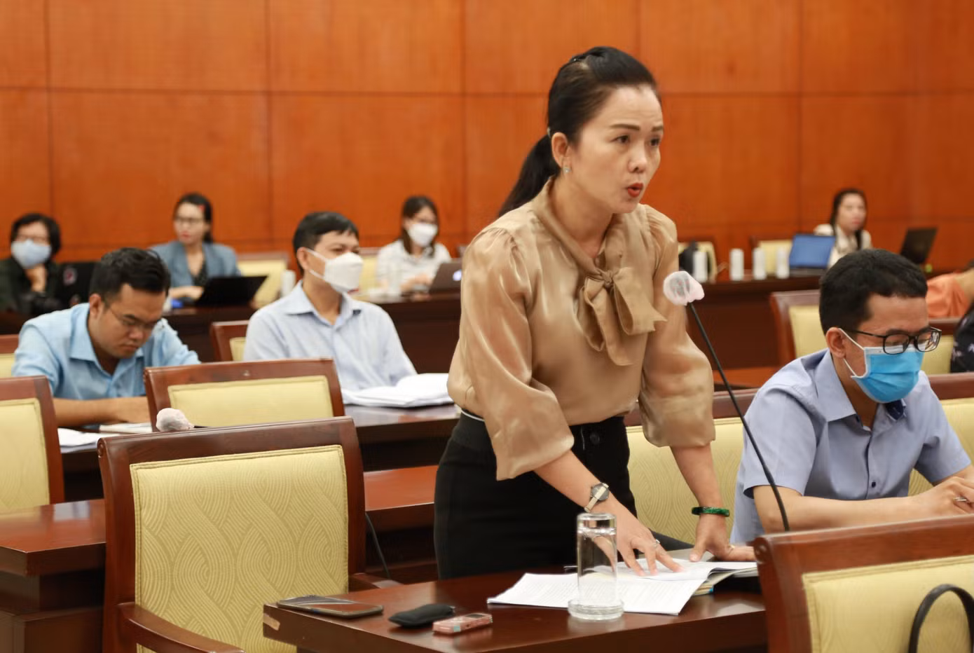 Bà Ngô Thị Hoàng Các trình bày tại kỳ họp. Ảnh: Ngô Tùng