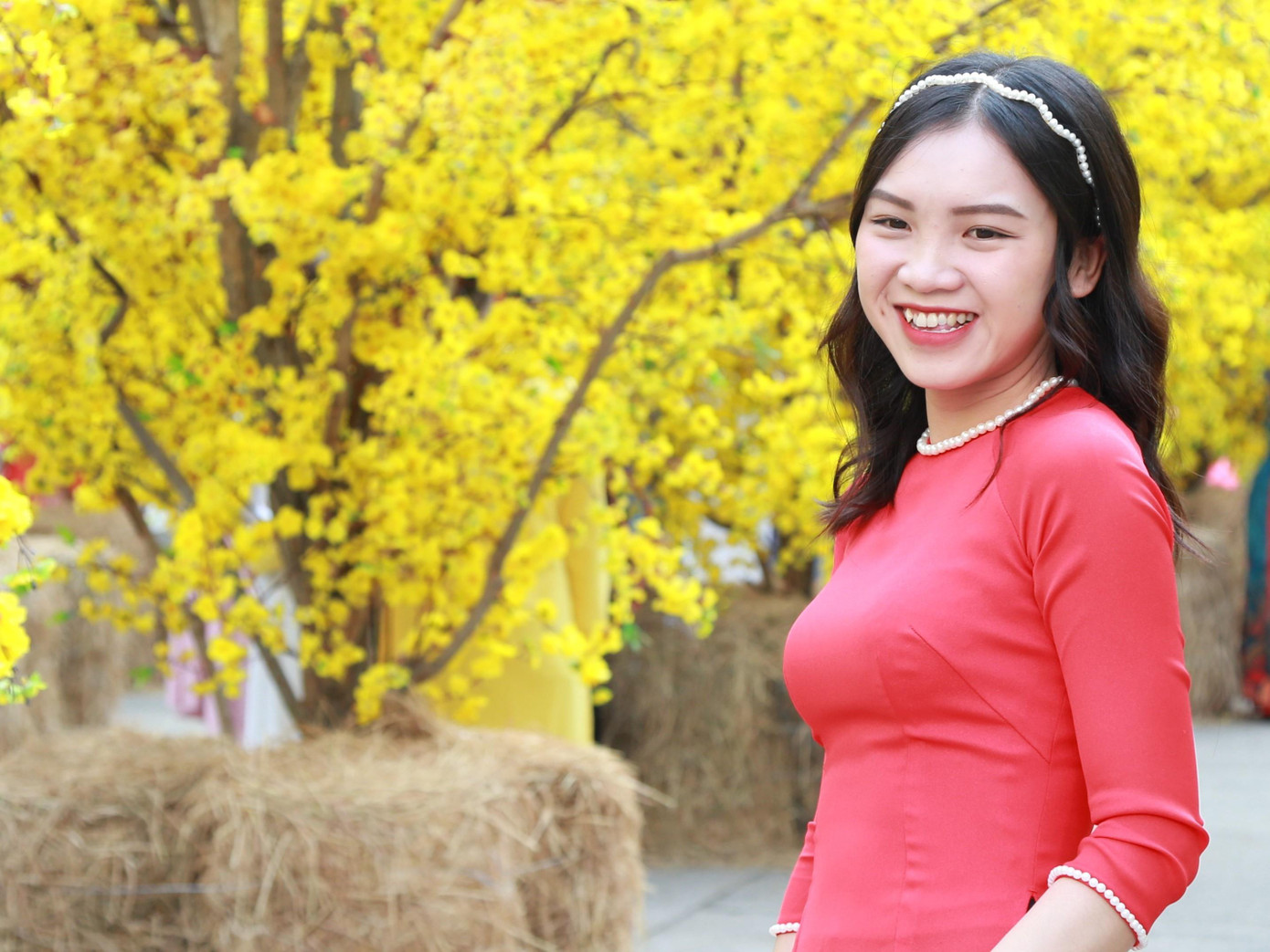 Bạn trẻ đến với không gian Tết cổ truyền, khoe sắc giữa 'rừng' mai vàng rực rỡ ảnh 8 Bạn trẻ đến với không gian Tết cổ truyền, khoe sắc giữa 'rừng' mai vàng rực rỡ ảnh 8