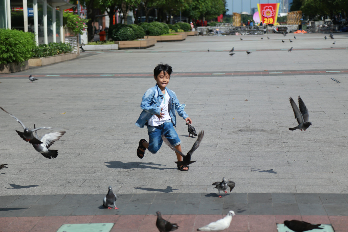 Em bé nô đùa cùng đàn chim bồ câu giữa phố đi bộ.