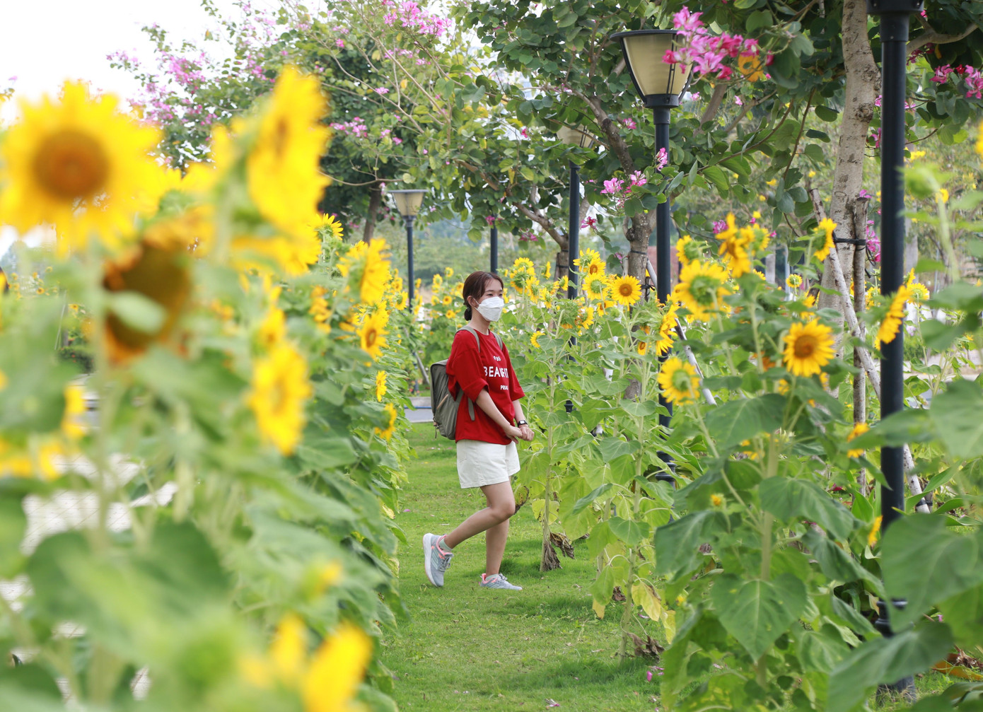 Khuôn cảnh đẹp như một bức tranh tại Nhà Văn hóa Sinh viên khiến nhiều bạn trẻ mê mẩn tìm đến.