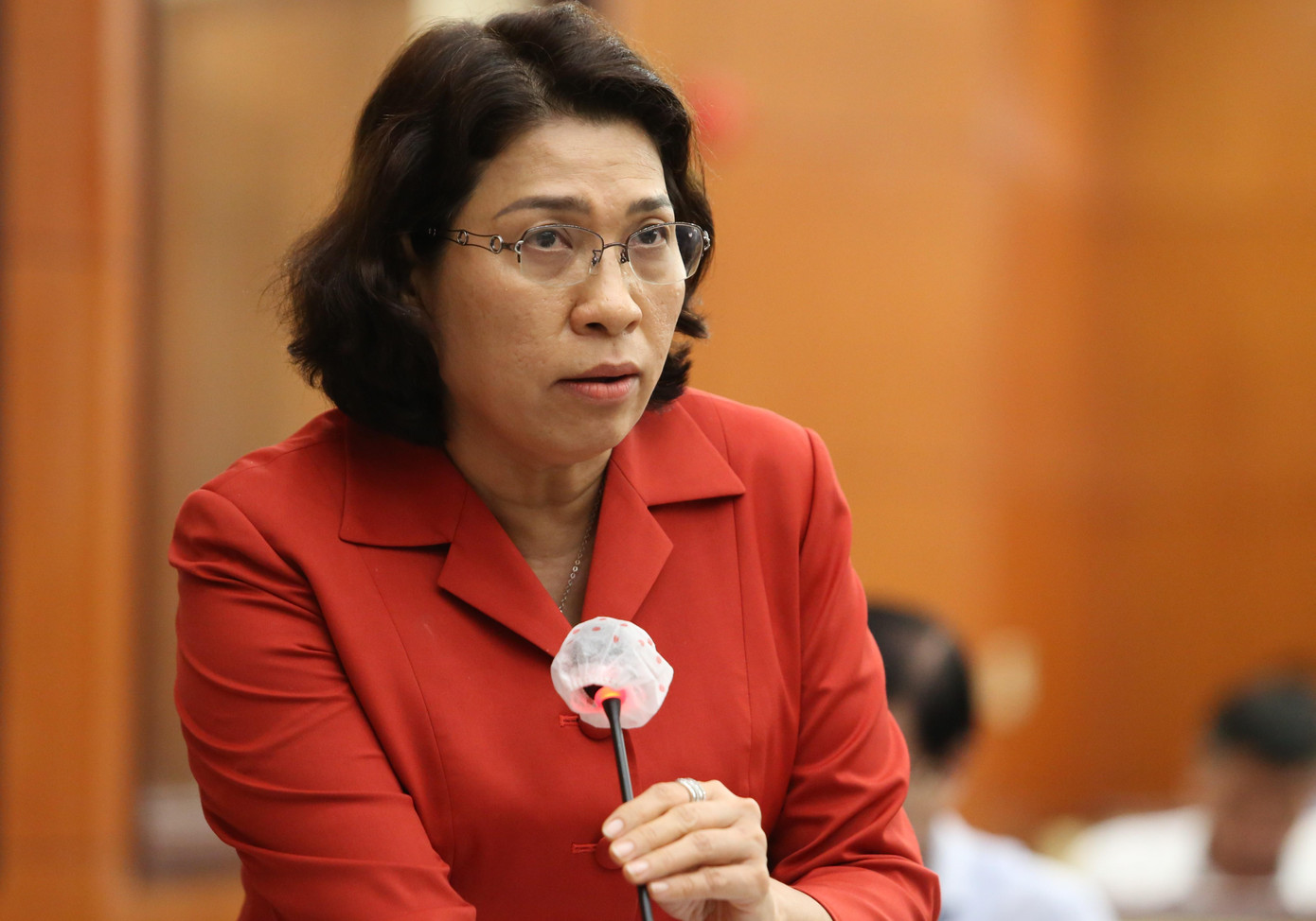 Giám đốc Sở Kế hoạch và Đầu tư TPHCM Lê Thị Huỳnh Mai giải trình một số nội dung liên quan.