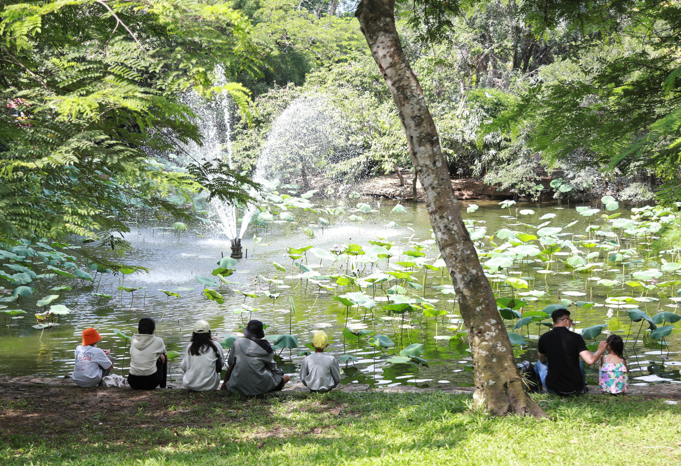 Người dân tìm đến khu vực hồ sen để "đắm mình" vào không gian thoáng đãng, trong lành.