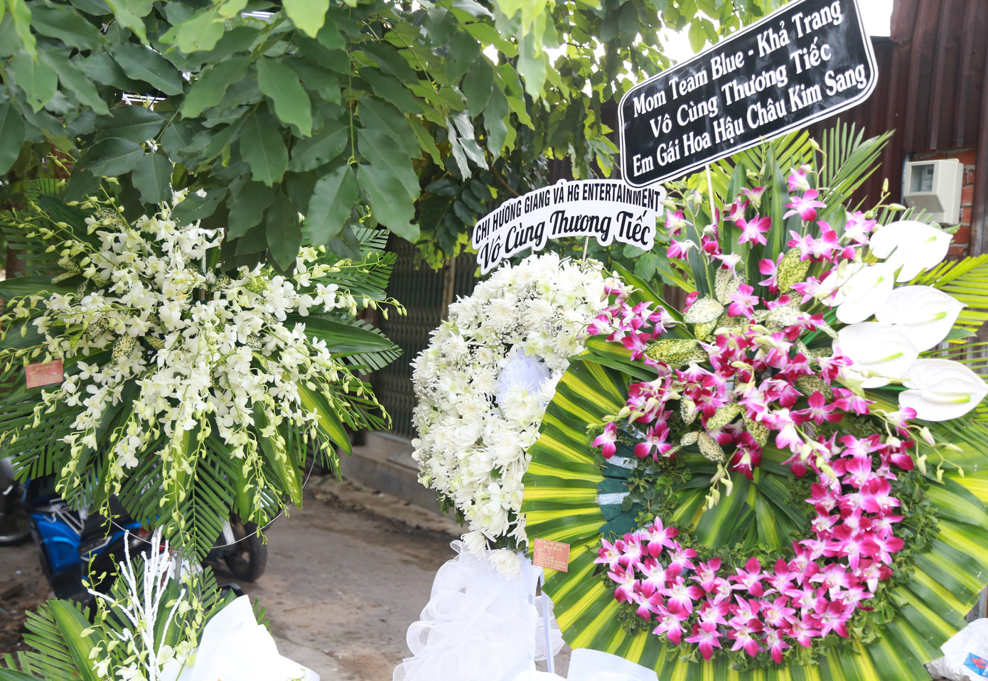 Nữ người mẫu được đồng nghiệp, bạn bè quý mến với tính cách chuyên nghiệp, nỗ lực hết mình. Dù mắc trọng bệnh, Kim Sang luôn thể hiện khát khao, cống hiến với đam mê. Chính điều đó đã làm cho Hoa hậu Hương Giang cảm phục và dành cho cô sự ưu ái, kính trọng.