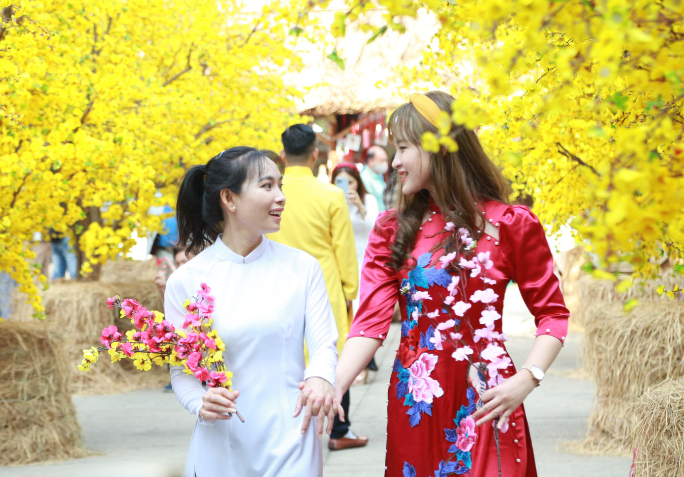 Bạn trẻ đến với không gian Tết cổ truyền, khoe sắc giữa 'rừng' mai vàng rực rỡ ảnh 7 Bạn trẻ đến với không gian Tết cổ truyền, khoe sắc giữa 'rừng' mai vàng rực rỡ ảnh 7