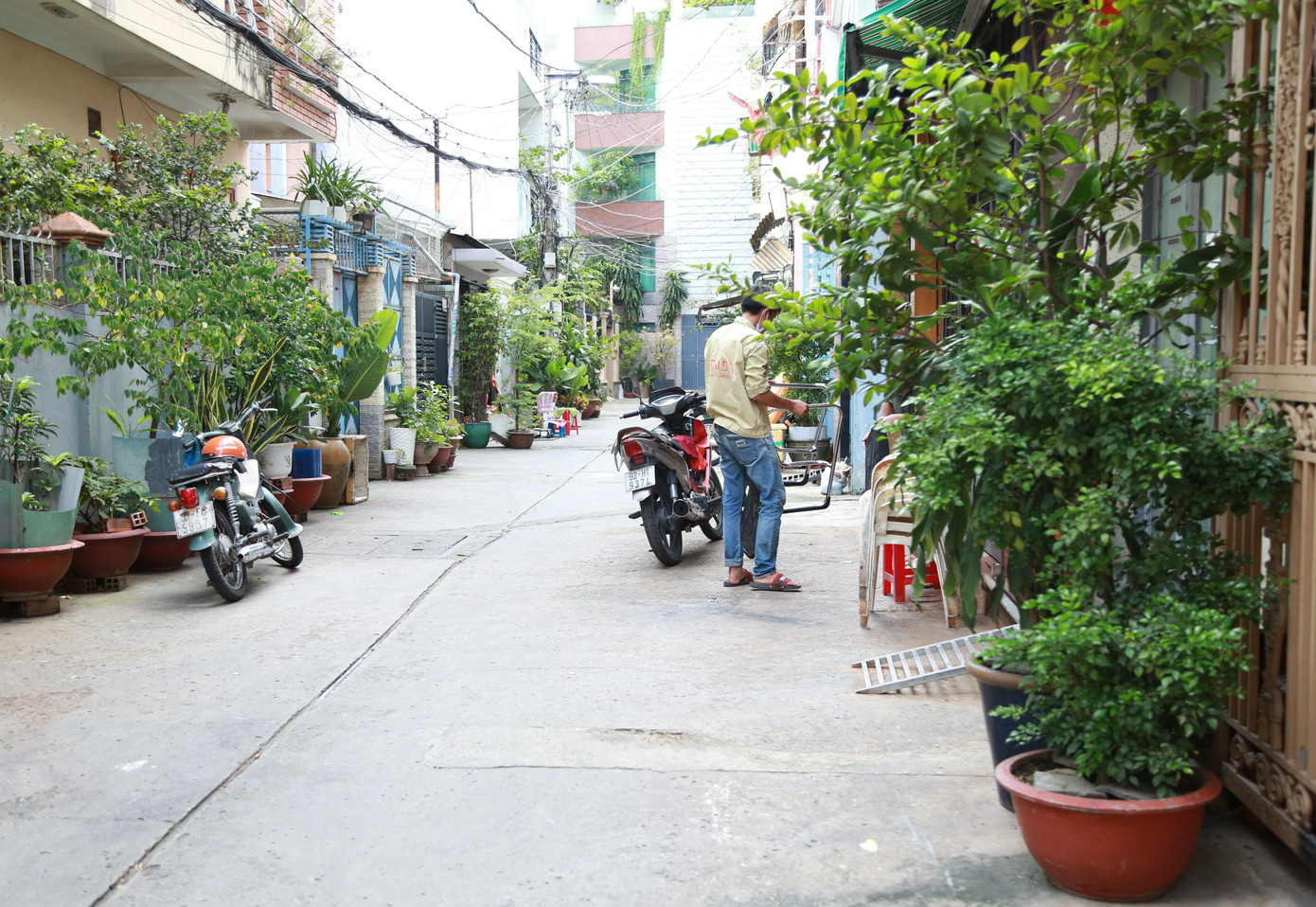 Hẻm 91/19 gần đó cũng rộng 5m, đủ thông thoáng để người dân có thể đặt các chậu cây xanh trước nhà tạo điểm nhấn cảnh quan xung quanh.