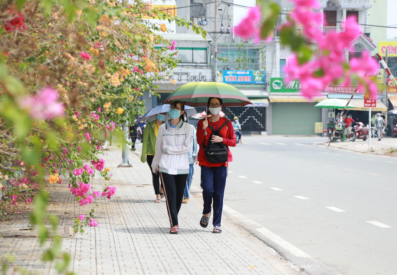 Một góc thơ mộng ngay trước cổng vào Ký túc xá Đại học Quốc gia TPHCM - khu B. Những ngày này, ký túc xá trở nên rộn ràng, sôi động khi rất đông các bạn sinh viên đã quay trở lại nhập học, lưu trú sau kỳ nghỉ Tết và đợt nghỉ tránh dịch dài trước đó.