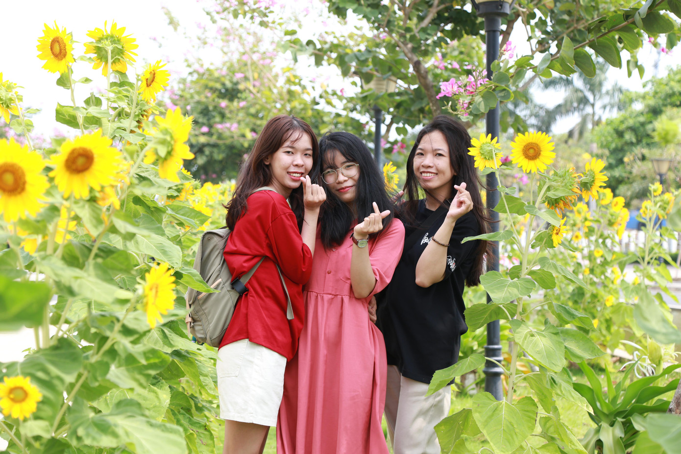 Cũng tìm về khu vực xung quanh Nhà Văn hóa Sinh viên chụp ảnh, nhóm ba bạn gái Thùy - Vàng - Thư thích thú với sắc hoa rực rỡ và khung cảnh nên thơ ở nơi này. Dù đều tốt nghiệp và có công việc riêng ở các địa bàn khác nhau, nhóm bạn vẫn gắn bó với nơi được coi như một phần thanh xuân. Trong khi Thư, Thùy vẫn còn trọ ở "làng", Vàng thuê trọ ở quận Bình Thạnh (TPHCM) để tiện công việc, đi lại.