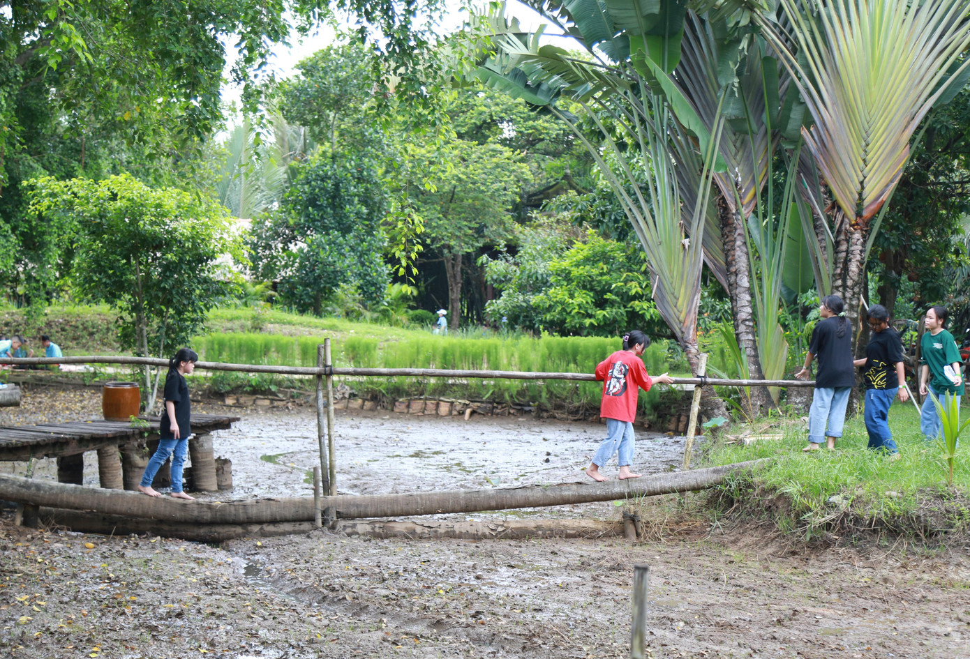 Trải nghiệm cuộc sống miệt vườn với trò đi cầu khỉ, chèo thuyền trong lòng hồ giữa bảo tàng.