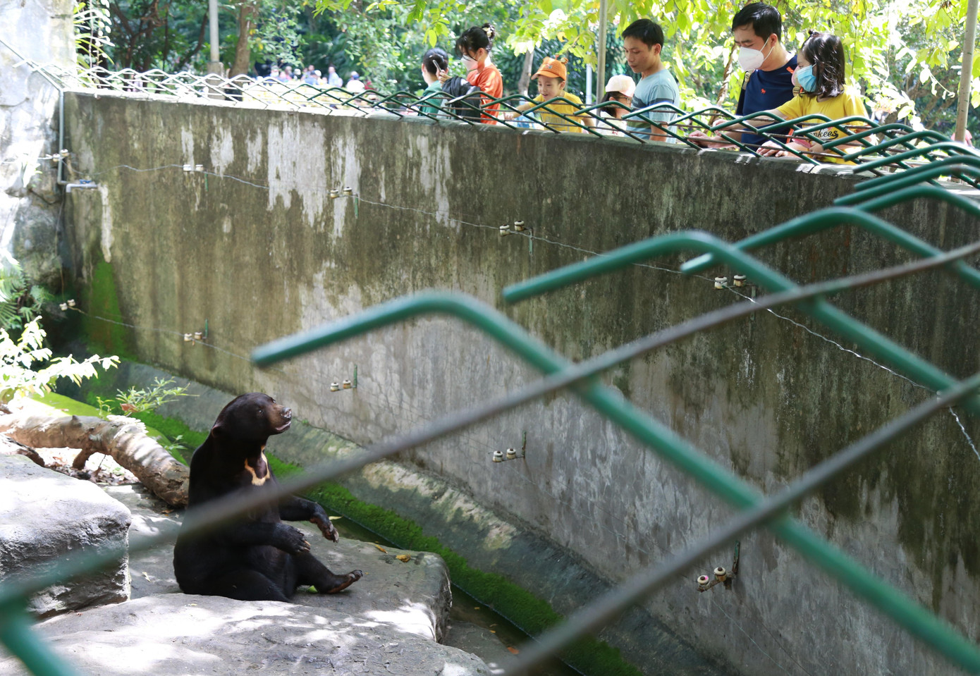 Những loài động vật hoang dã nguy hiểm luôn được nuôi nhốt cẩn thận, có tường rào cách ly đủ an toàn cùng những cảnh báo đến khách tham quan.